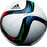 Mauricio M Segnorelli